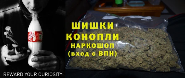 дживик Гусев