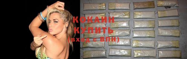 винт Гусь-Хрустальный