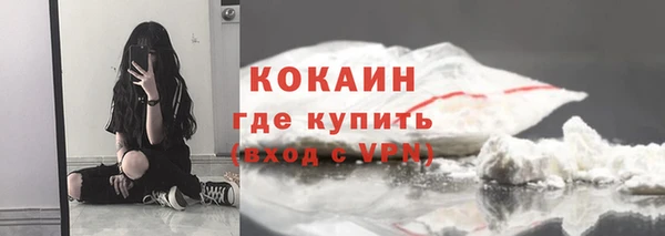 винт Гусь-Хрустальный