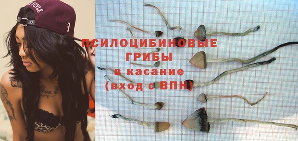 винт Гусь-Хрустальный