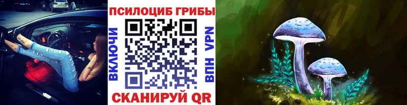Псилоцибиновые грибы Cubensis  наркотики  Давлеканово 