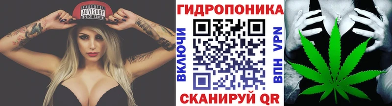где можно купить наркотик  Давлеканово  Канабис семена 